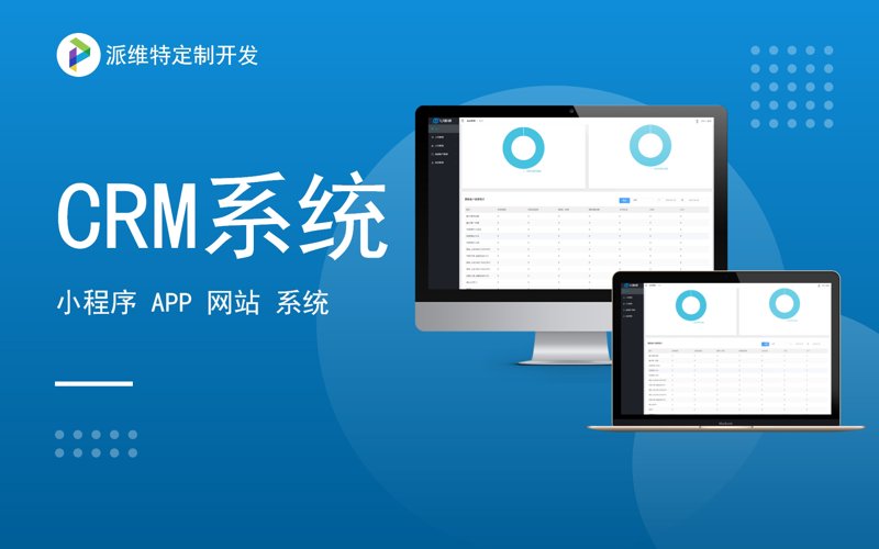 定制CRM系统：为企业成长插上翅膀