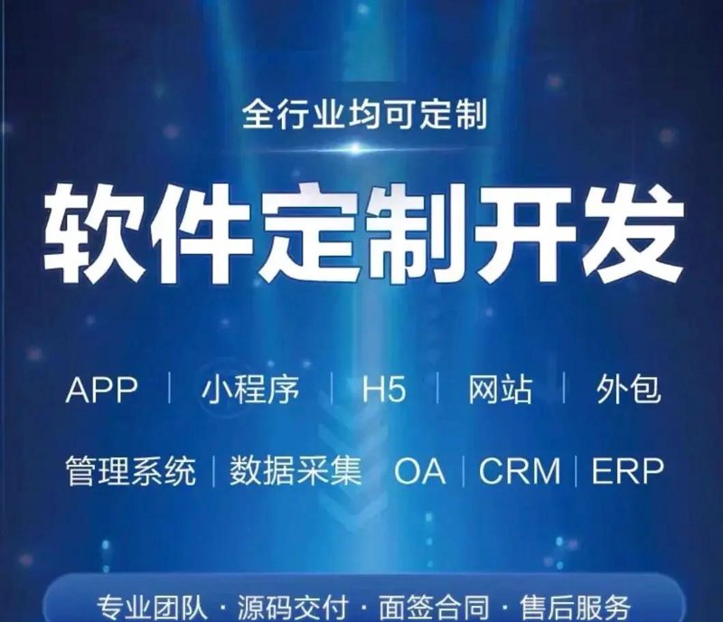 ERP系统开发:推动企业数字化转型的新动力
